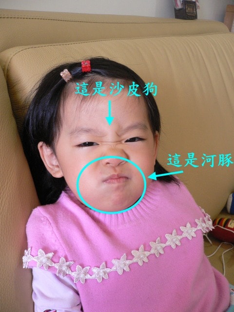 20250406-1qd0b