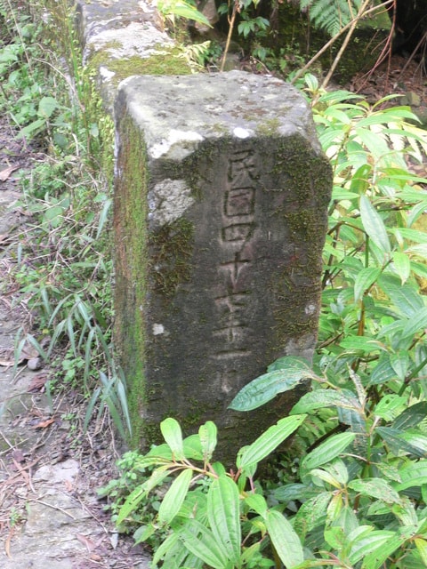 20250406-h6d4j