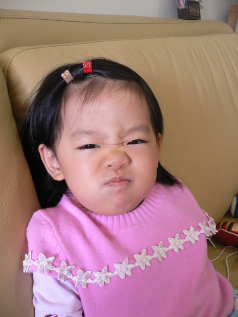 20250406-owhy4