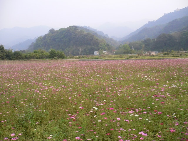 20250406-xwo9t