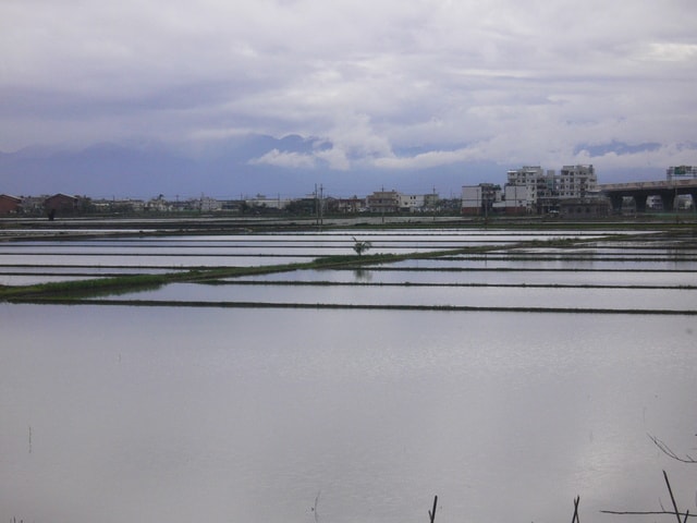 20250406-9qiur