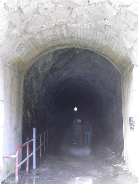 20250406 8nxik