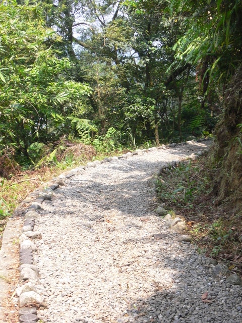 20250406-p1mtp