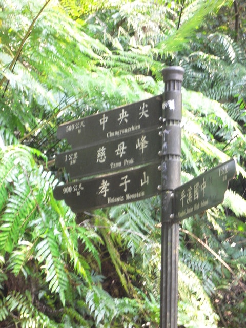 20250406-wjxp8