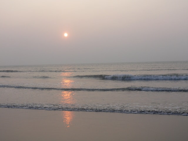 20250406-5fov0