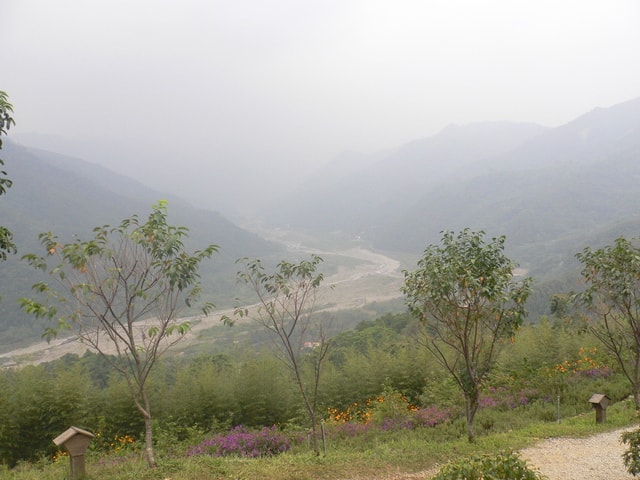 20250406-9cjrw