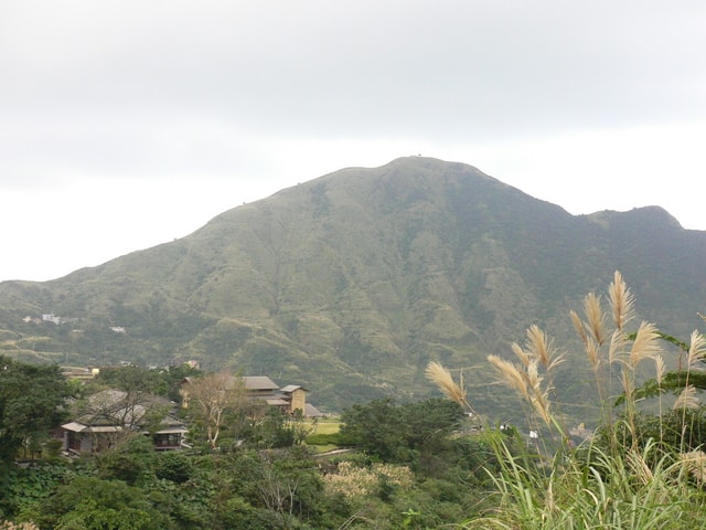 20250406-5tado