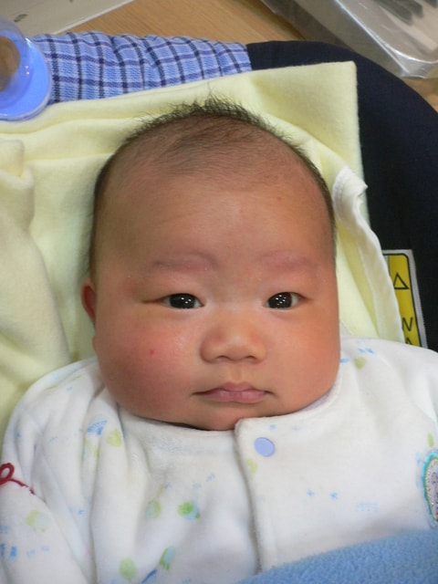 20250406 wajwd