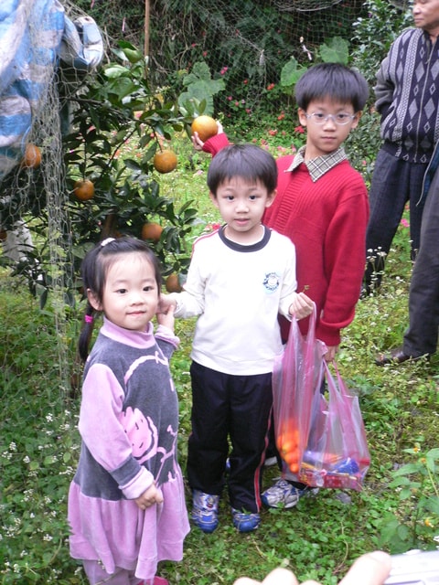20250406-lg17u