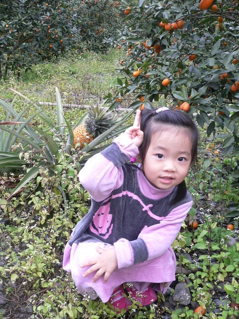 20250406-sui01