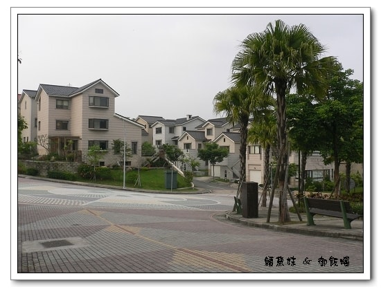 20250406-y3v2t