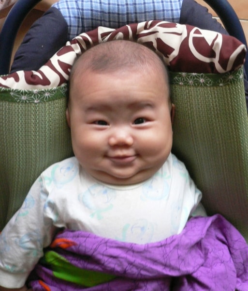 20250406-ikbia