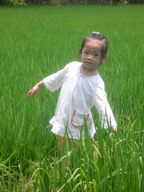 20250406-wowhg