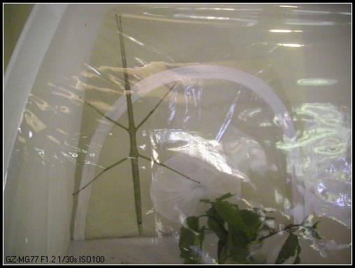 20250406-tmv0o