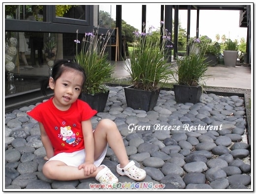 20250406-3lp8j