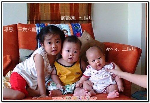 20250406 bmpl5