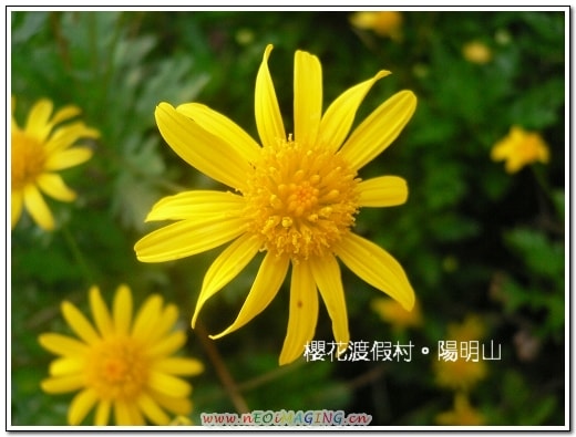 20250406-md6s9