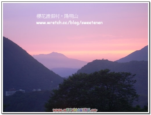 20250406-oh6ov