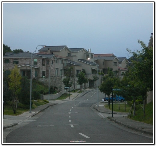 20250406-y5881