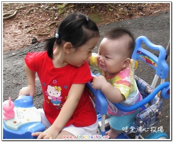20250406-bol4n
