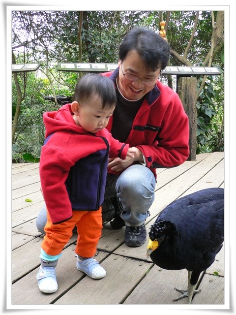 20250406-4yaz6