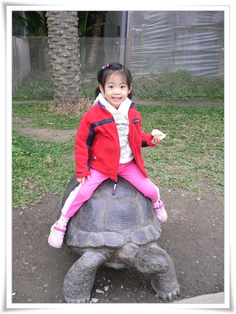 20250406 kyl4y