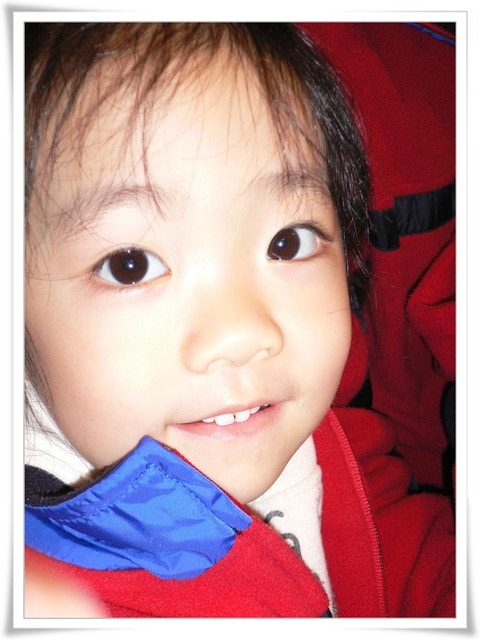 20250406-qy3li