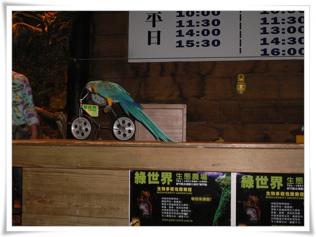 20250406-x2myr