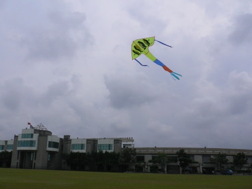 20250406-sev7j