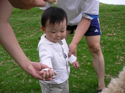 20250406-aa8jy