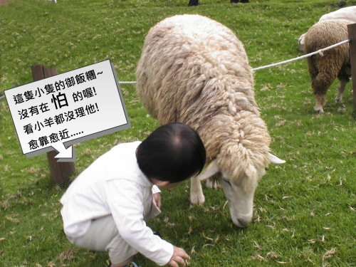 20250406-geqb9