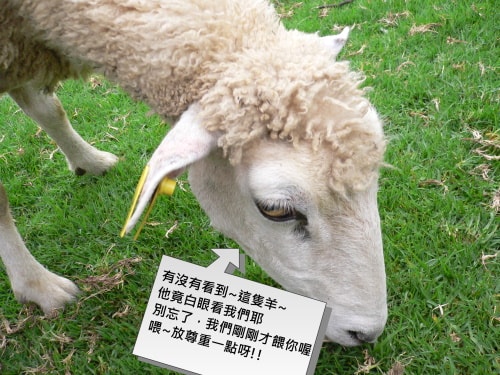 20250406-j5hew