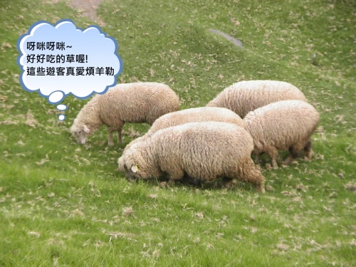 20250406-qsd5e