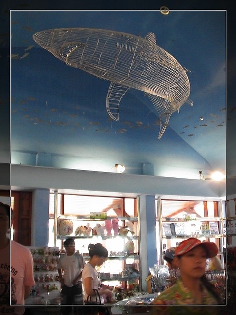 20250406-5gbol