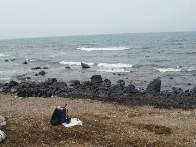 20250406-0tovf