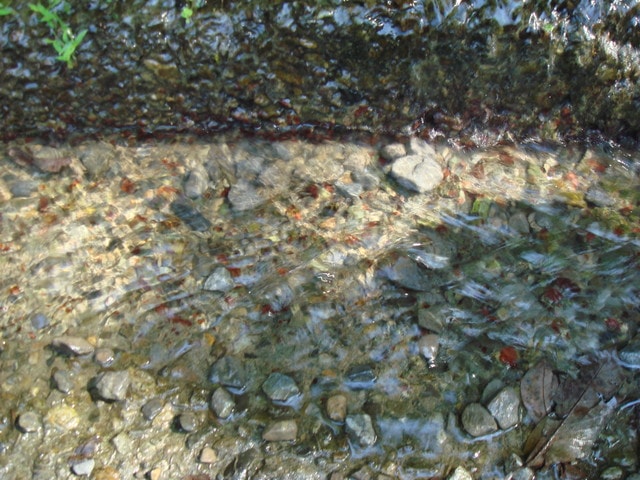 20250406-8nhvx