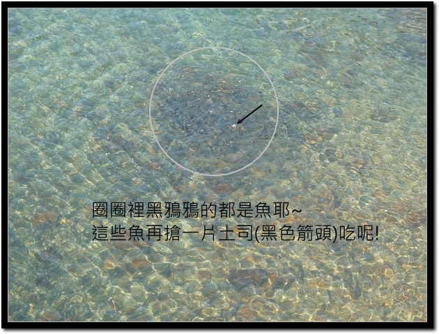 20250406-dfv8q