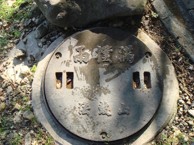 20250406-jzmq6