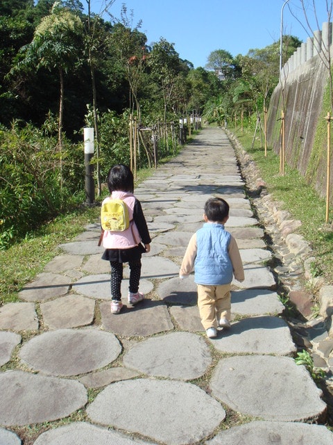 20250406-p2grs