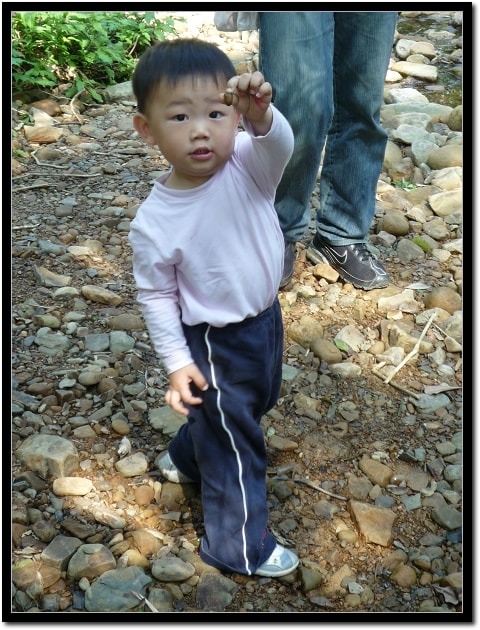 20250406-qswu3