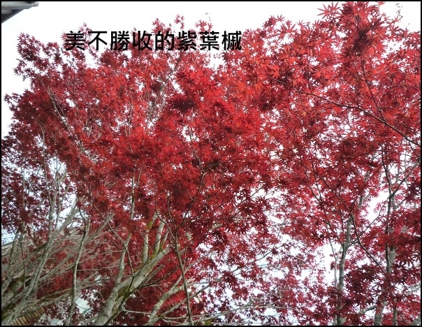 20250406-4ervz