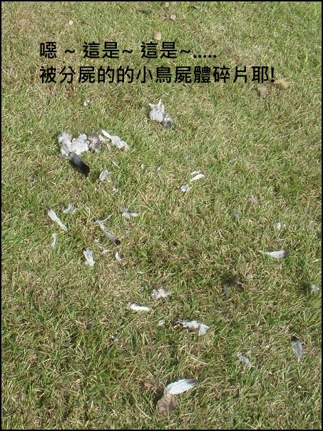20250406-cyc80