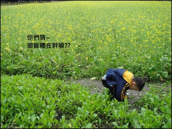 20250406-hkcwe