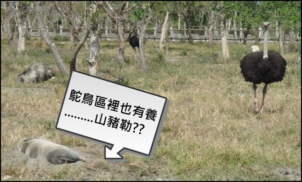 20250406-hssp4