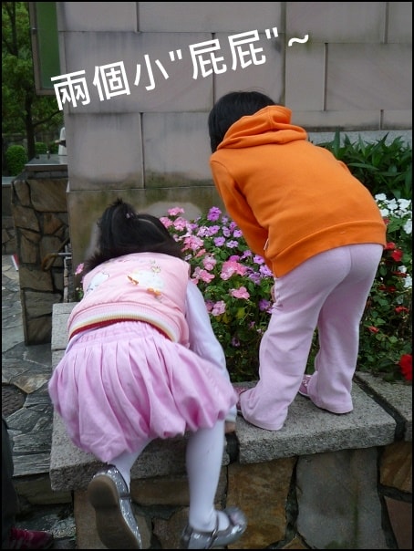 20250406-so8kp