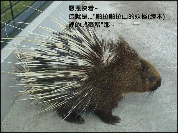 20250406-wn620