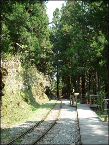20250406-zopij