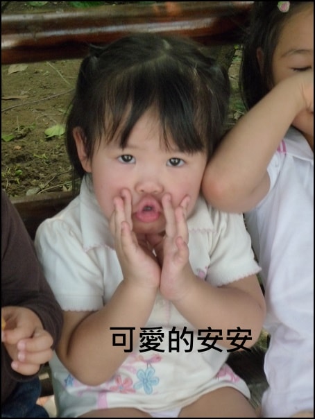 20250406-3yuwp