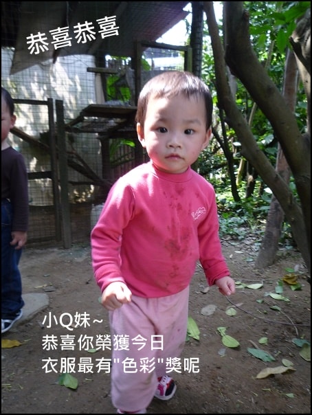 20250406-q5yr3