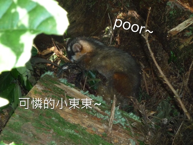 20250406-55s2c